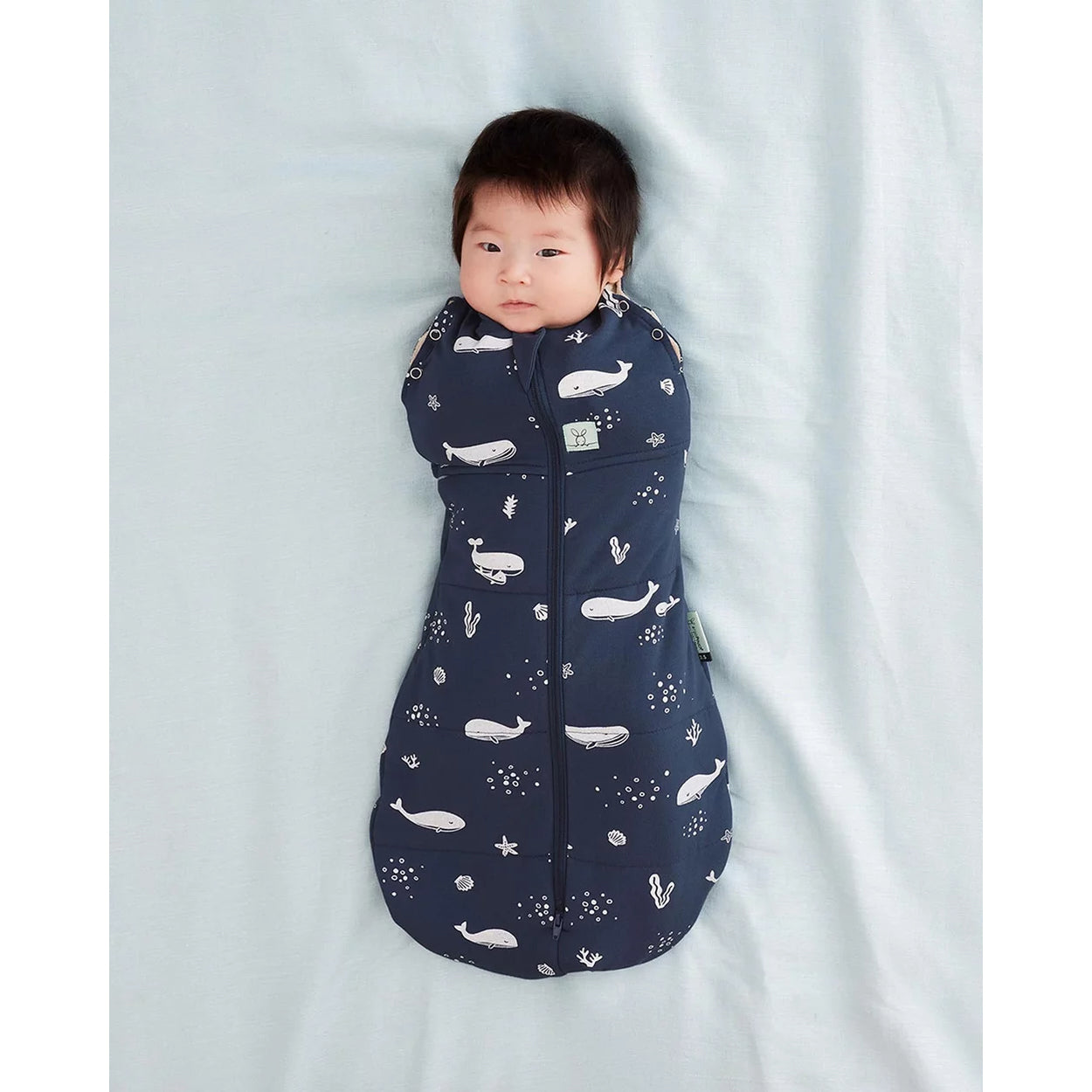 ergopouch-cocoon-swaddle-bag-2-5-tog-0-3m-whale-ergo-zepco-2-5t00-03mwl23