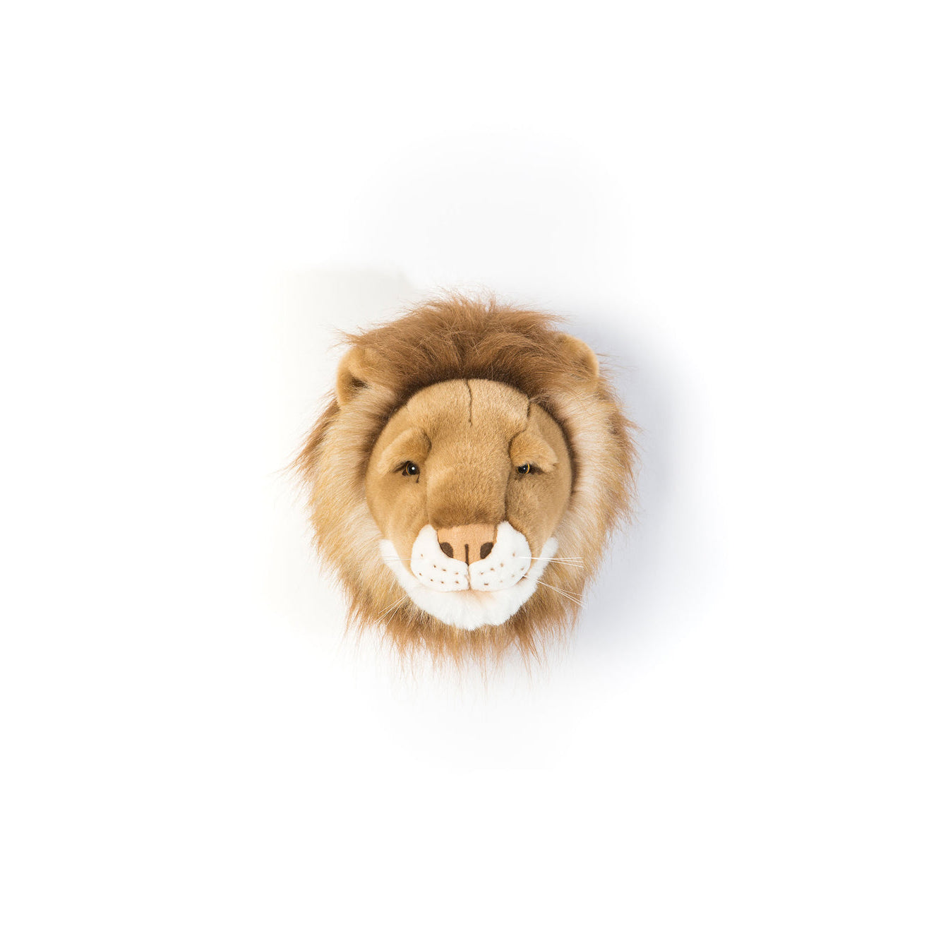 wild-&-soft-head-lion-cesar-wild-ws0024