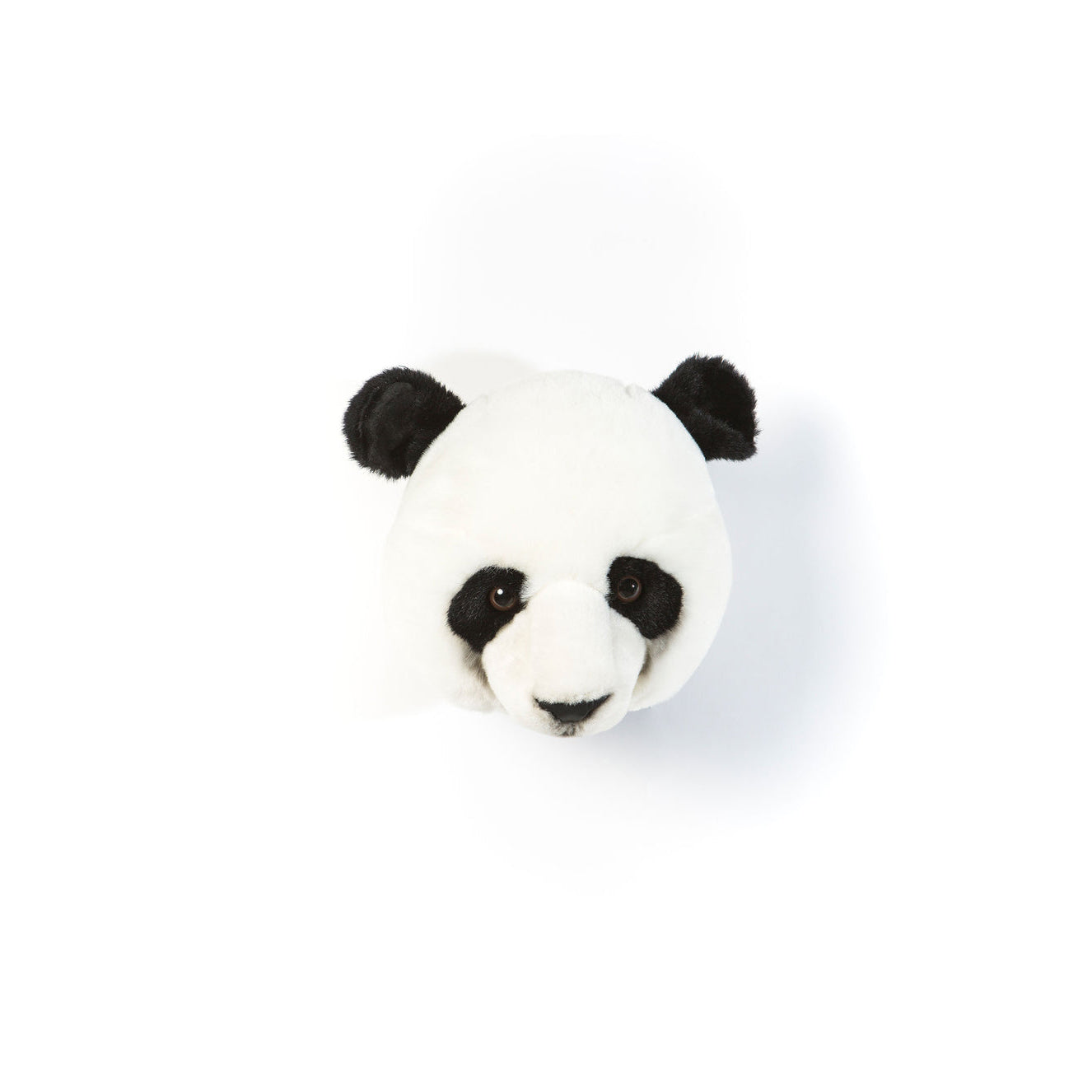 wild-&-soft-head-panda-thomas-wild-ws0046