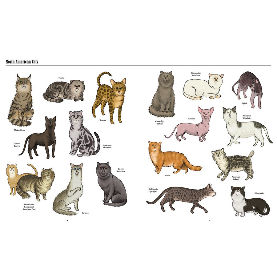 book-big-cats-little-cats-a-visual-guide-to-the-world's-cats- (3)