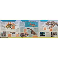 book-dinosaurs-atlas- (6)