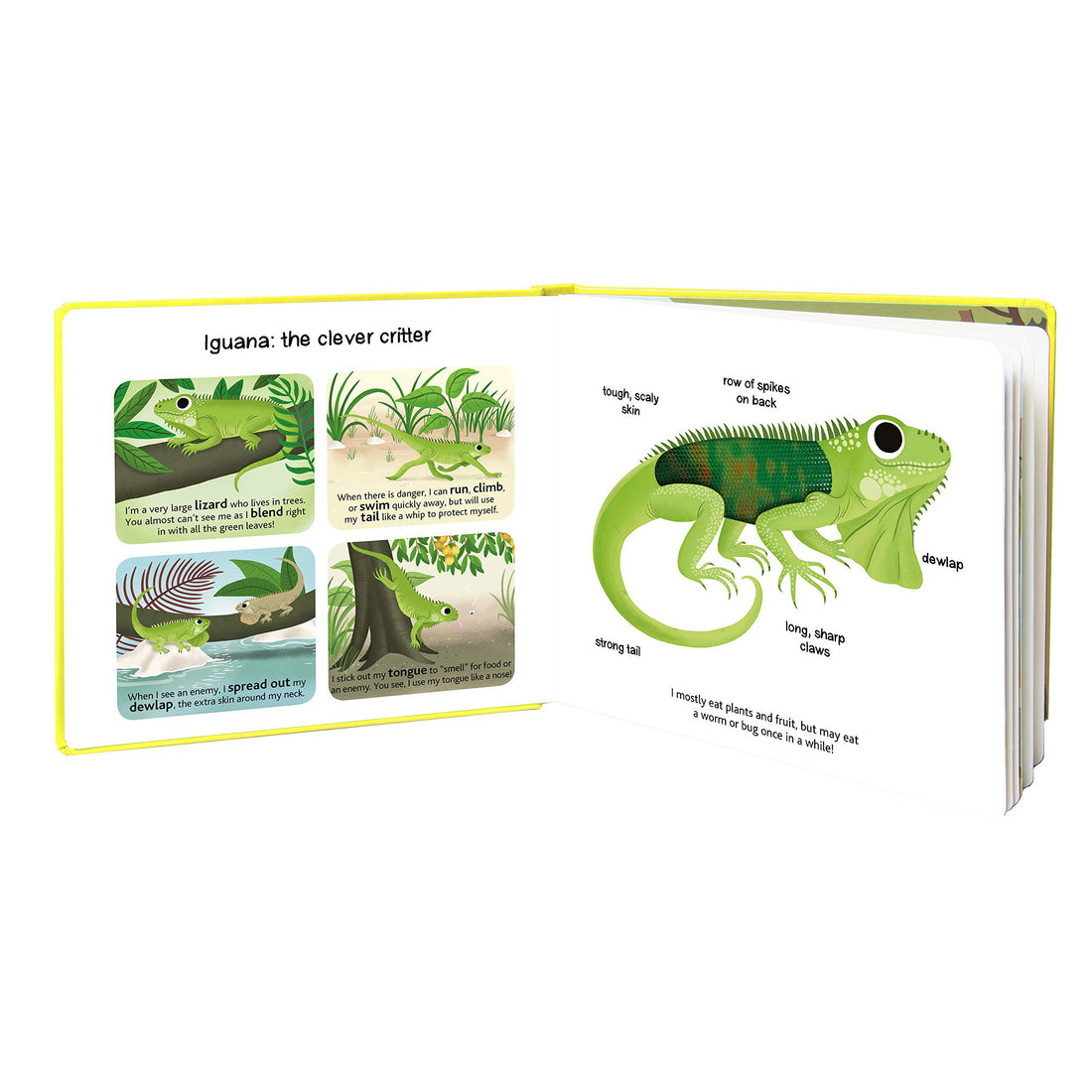 book-touch-&-explore-jungle-animals- (2)