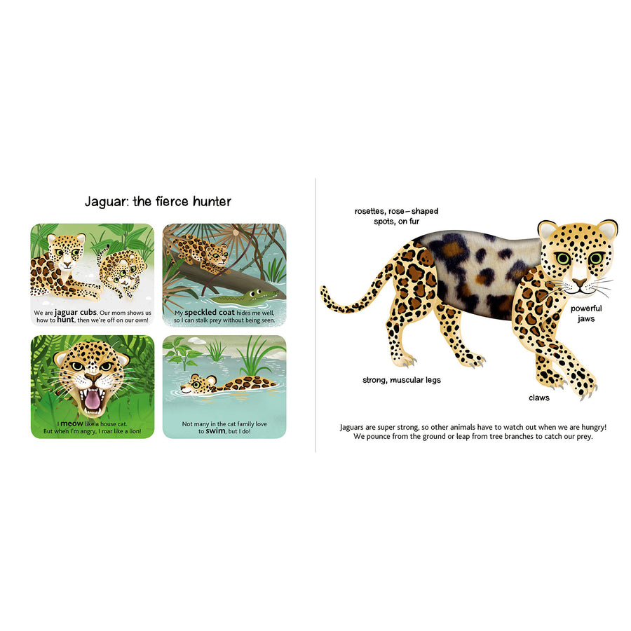 book-touch-&-explore-jungle-animals- (3)