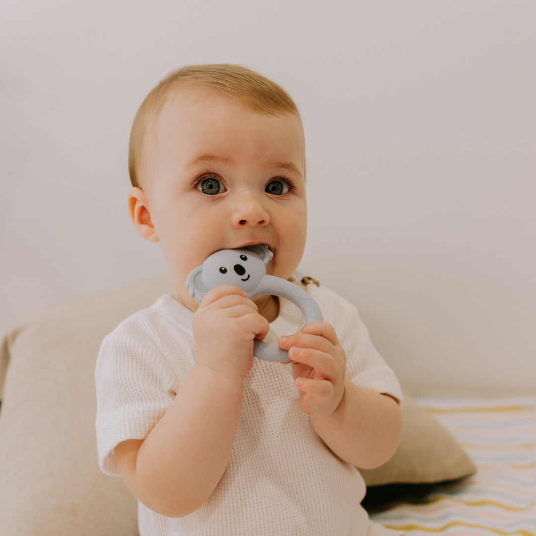 jellystone-designs-koala-teether-joey-blue-jest-kotjb- (2)