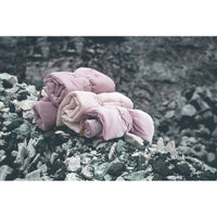 numero-74-baby-towel-dusty-pink- (2)