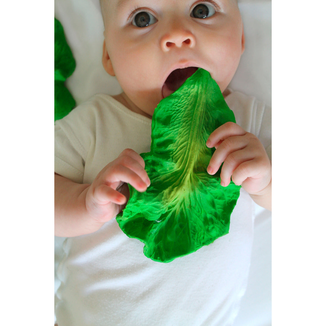 oli-&-carol-kendall-the-kale-teether- (25)