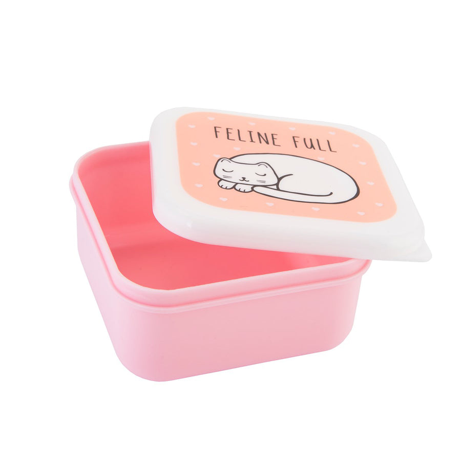 rjb-stone-cutie-cat-lunch-boxes- (2)