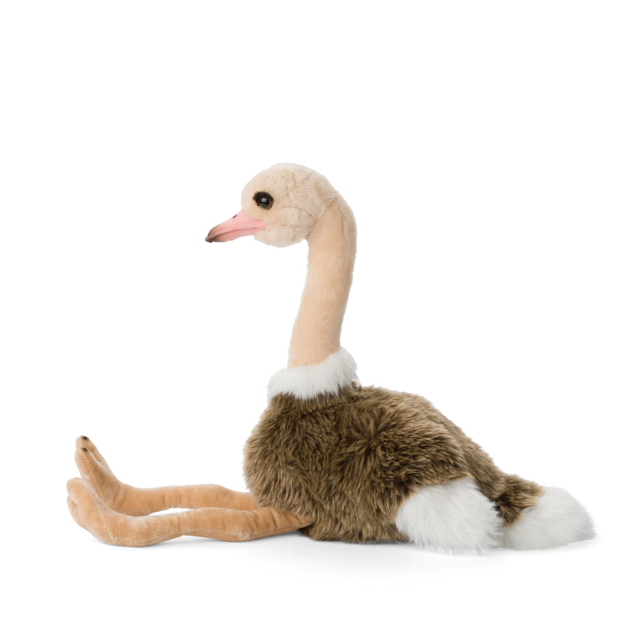 wwf-ostrich-35cm-wwf-15170036- (2)