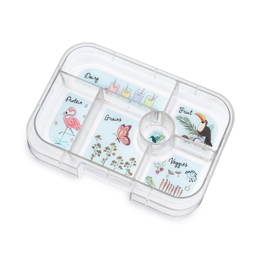 yumbox-original-nevis-blue-6-compartment-lunch-box- (4)