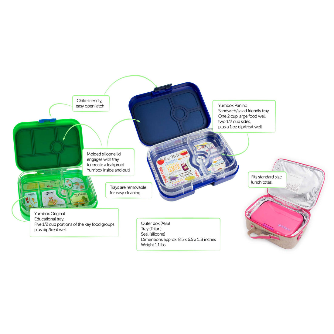 Buy Yumbox Panino Lunch Box 4 Compartment – Biome US Online